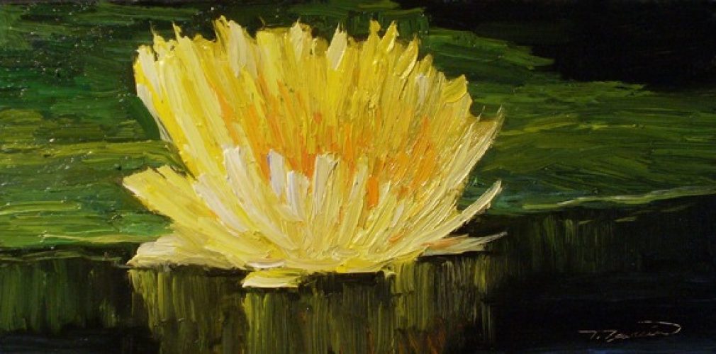 may26WaterLilly6x12w2